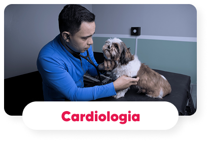 cardiologia-veterinaria-hospital-veterinario-vet-care-fortaleza