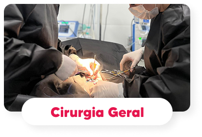 cirurgia-geral-hospital-veterinario-vet-care-fortaleza