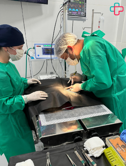 cirurgia-veterinaria-24h-vet-care-hospital-veterinario-fortaleza.