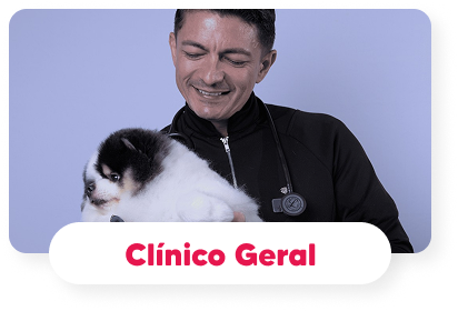 clinico-geral-hospital-veterinario-vet-care-fortaleza