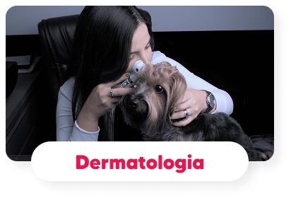 dermatologia-veterinaria-hospital-veterinario-vet-care-fortaleza