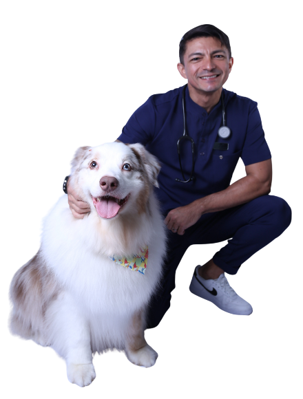 dr-michelson-brasil-clinico-geral-24h-vet-care-hospital-veterinario-fortaleza