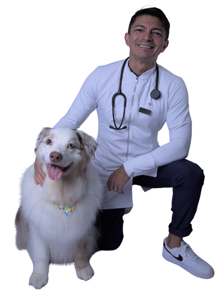 dr-michelson-brasil-consulta-24h-servico-vet-care-hospital-veterinario-fortaleza