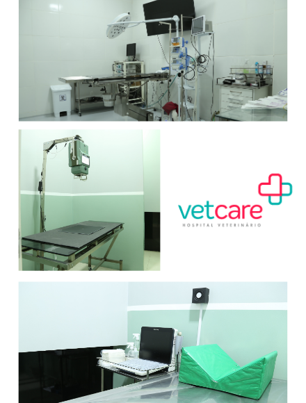 estrutura-exames-veterinarios-24h-vet-care-hospital-veterinario-fortaleza