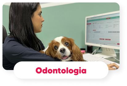 odontologia-veterinaria-hospital-veterinario-vet-care-fortaleza