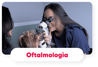 oftalmologia-veterinaria-hospital-veterinario-vet-care-fortaleza