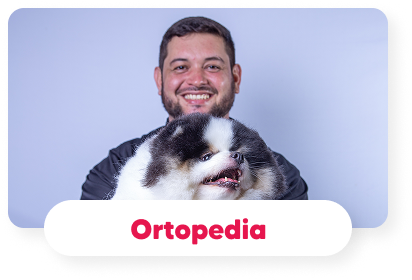ortopedia-veterinaria-hospital-veterinario-vet-care-fortaleza