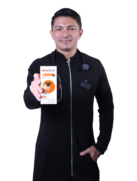 vet-care-farmacia-veterinaria-24h-fortaleza-bravecto-de-4-a-10kg-250mg
