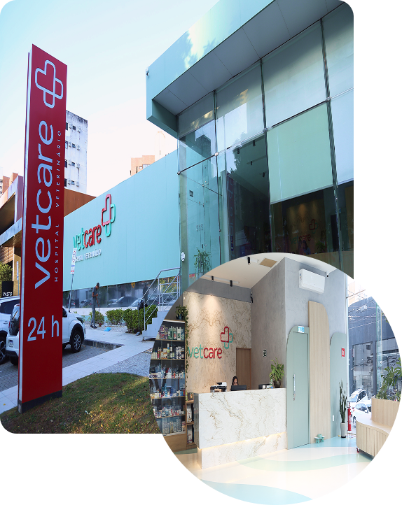 vet-care-hospital-veterinario-fortaleza-estrutura-completa-caes-gatos